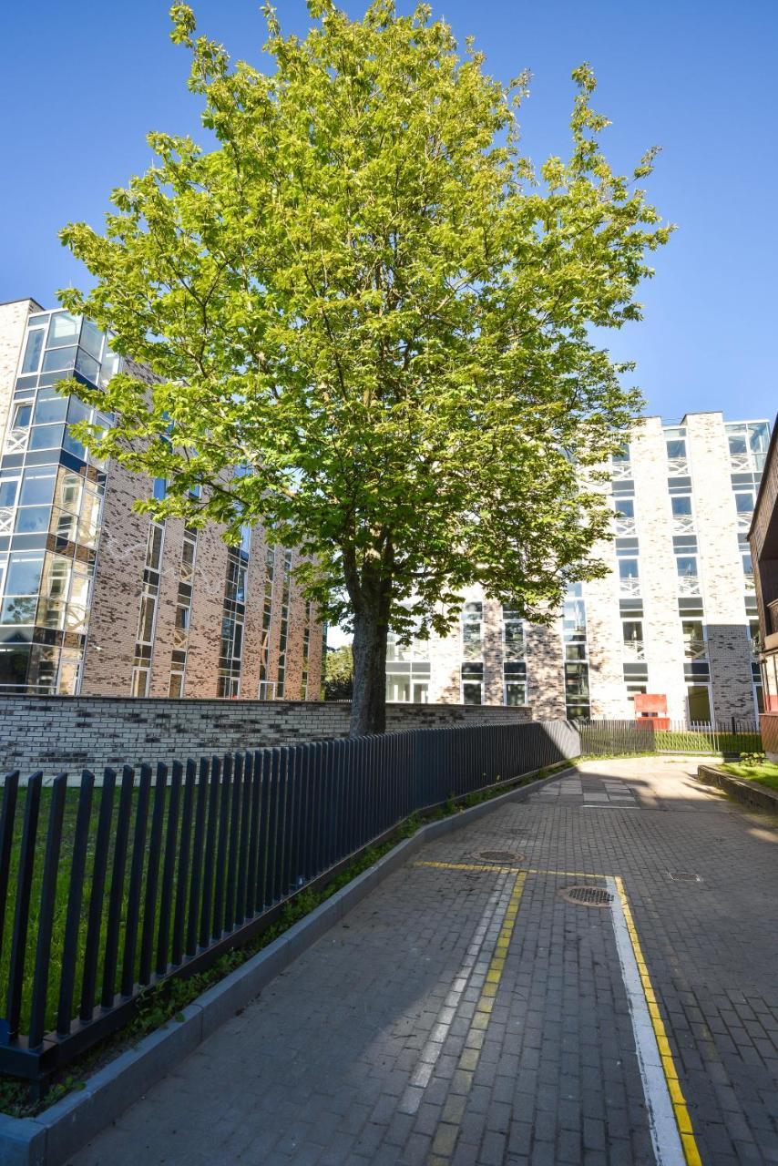 Apartamentai "Birutes Aleja 24" 팔랑가 외부 사진